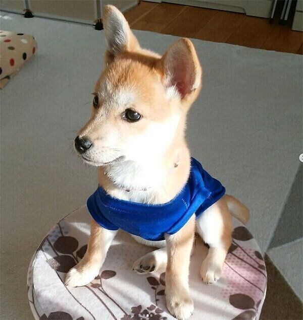 座る咲季ちゃん