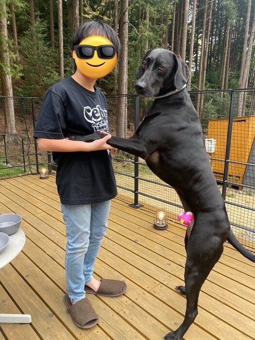 成長後のSOLくん　すっかり大きくなってカッコいい印象に