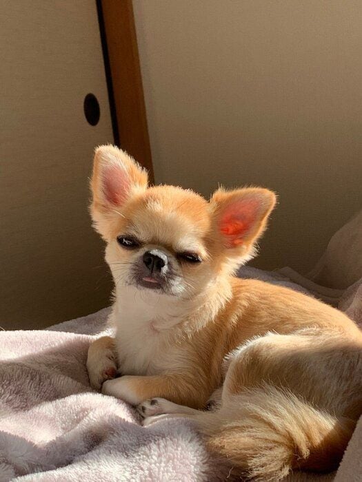 太陽の光を浴びているたろ丸くん