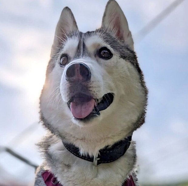 ニコッとするテラちゃん