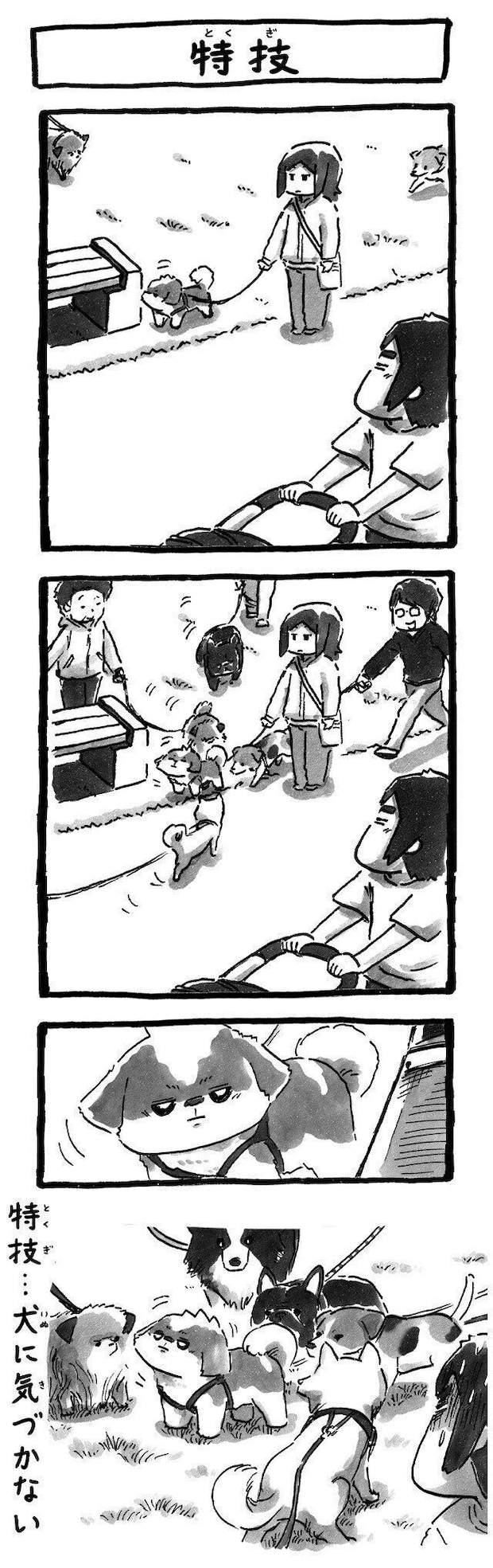 シーズー犬マンガてんぽshihtzu