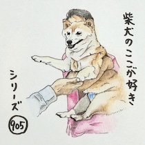 柴犬あるある、実に上手に前足を使うとこ｜連載「ここ掘れここ柴」vol.306