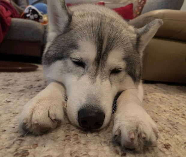 寝顔が可愛いムギちゃん