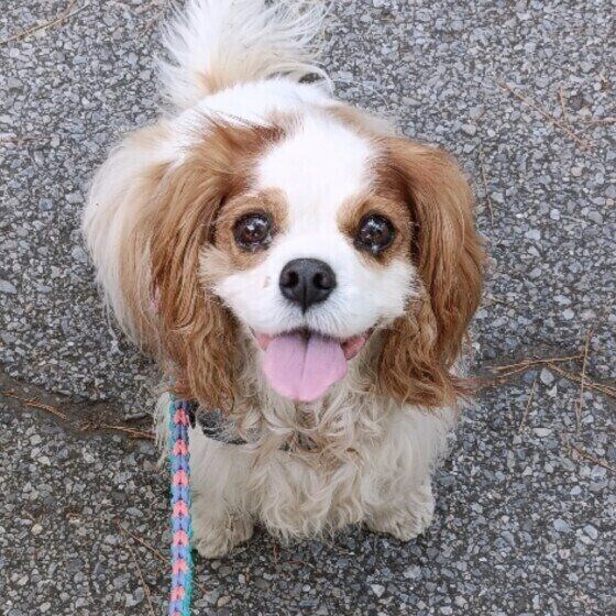 ニコニコの表情♪