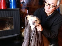 自宅で犬を洗うのは重労働だけど【穴澤賢の犬のはなし】