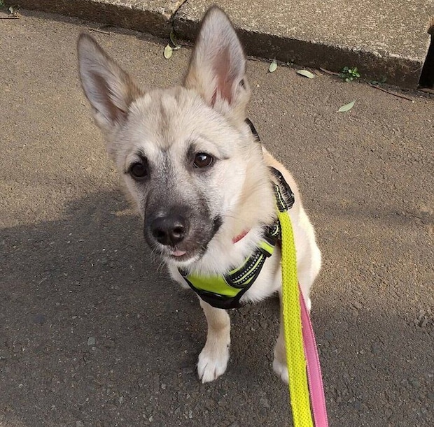 生後6カ月のころに撮影したFELIXくん