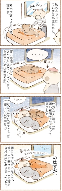 布団占領事件…幸せ添い寝から一転、朝に起きたこととは｜連載「こぐま犬てんすけ」vol.305