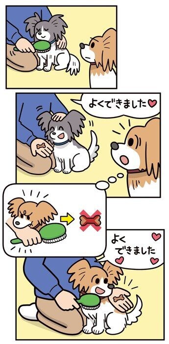 イラスト／コルシカ