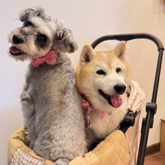 いつも仲良し♪