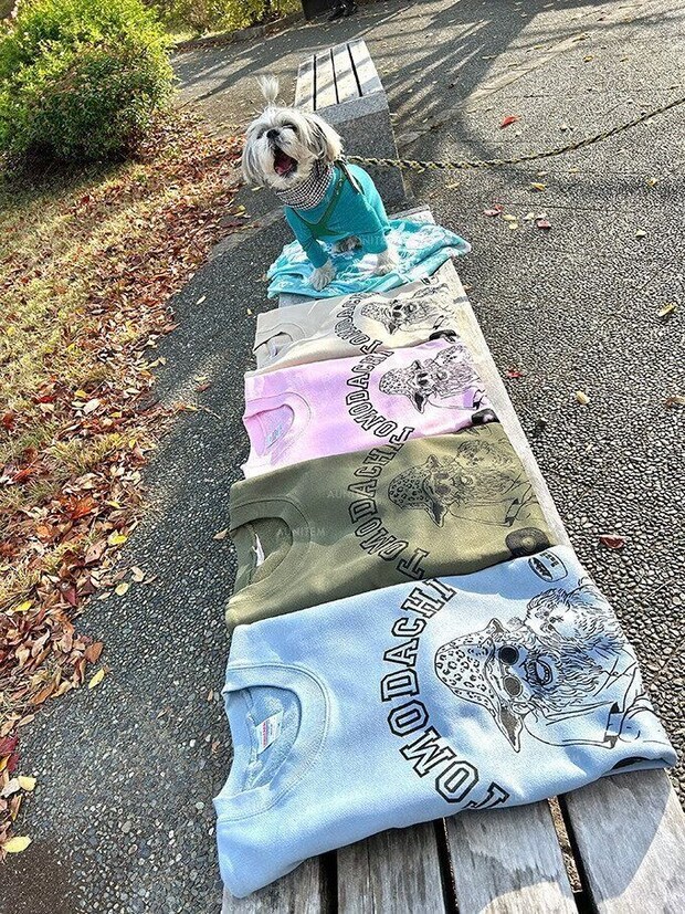 シーズー犬マンガてんぽshihtzu