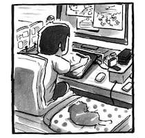 たった数分の隙に…飼い主惨敗。少しの離席で“犯人”に席を乗っ取られた話 |連載「シーズー犬のてんぽ」第294回