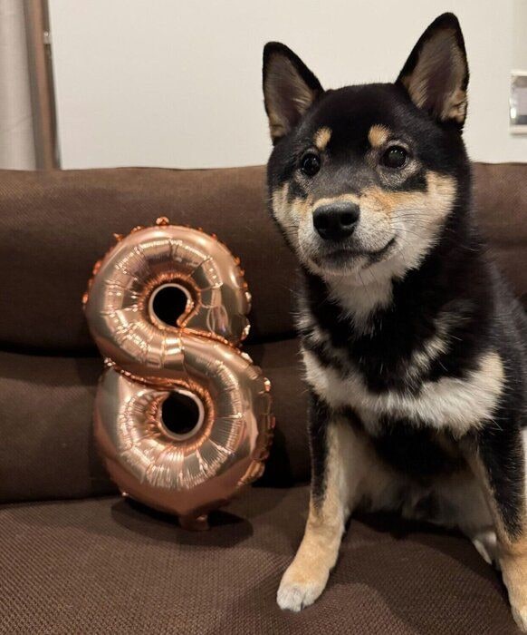 生後8カ月になったおこげくん