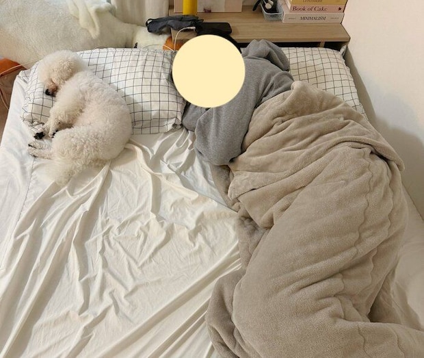 枕を使って人のように眠るつくねちゃん。