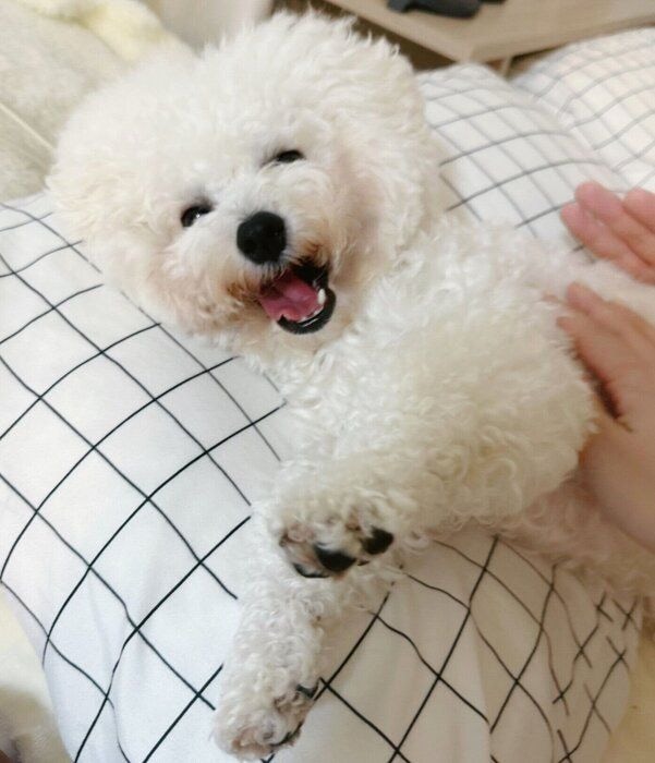 嬉しそうなつくねちゃん。