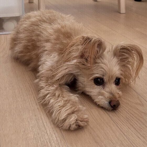 時間を持て余すあんずちゃん