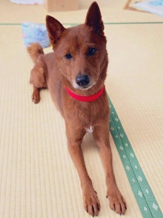 穏やかな表情がかわいらしい1枚