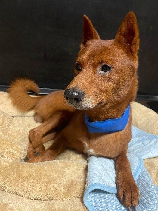 別の日 リラックスした様子の玄くん