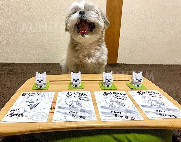 シーズー犬マンガてんぽshihtzu