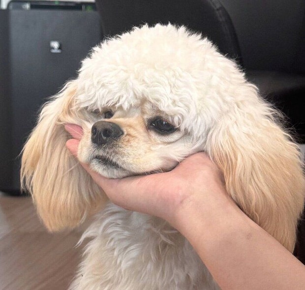 生後10カ月になったパルちゃん