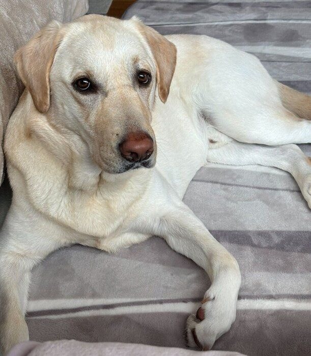 まったりするエルくん