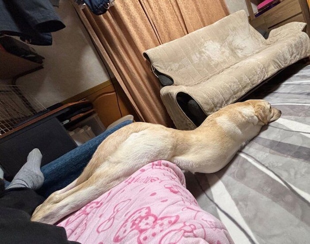 伸びるエルくん