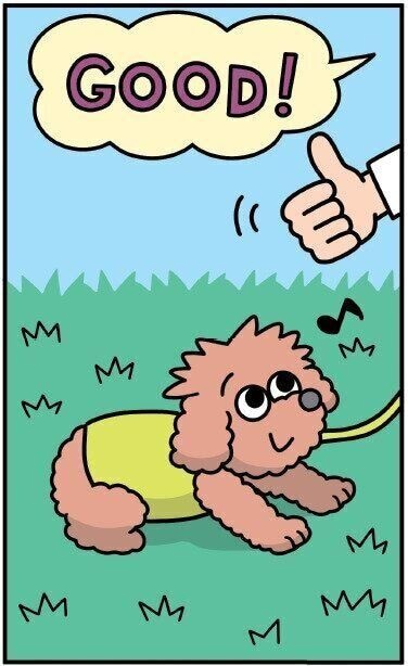 フセの練習をする犬