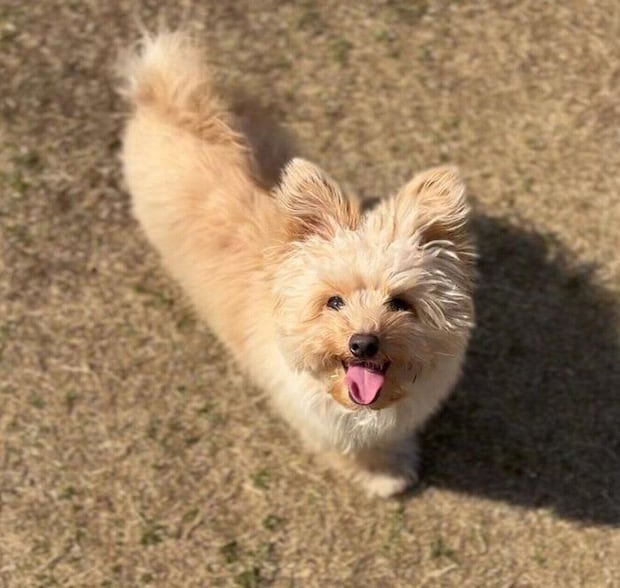 ニコニコ顔のころもくん