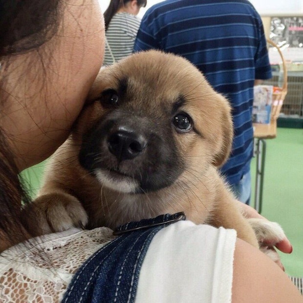 こなつちゃんと初めて会った日に撮影された1枚