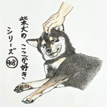 柴犬あるある、ツボ押しの指示出しが上手なとこ｜連載「ここ掘れここ柴」vol.309