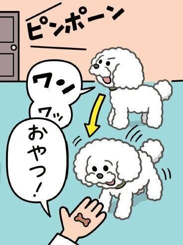 チャイムの瞬間におやつをもらう犬