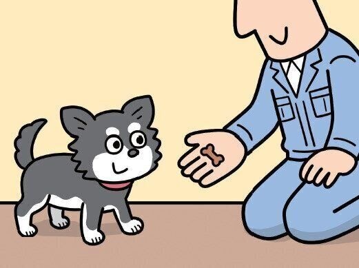 作業員からおやつをもらう犬