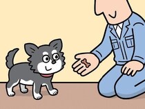 「チャイムや人に吠える」　愛犬の「吠え問題」読者の解決策実例