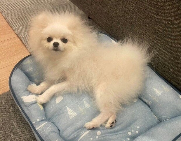 生後8カ月のちょむちゃん