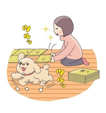 犬飼いさんが「手放して後悔したもの」体験談！グッズ選びのポイントについて専門家が解説