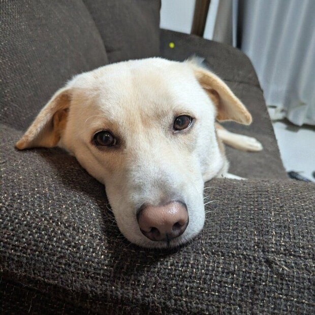 「な～に？」というように振り向くヒノくん