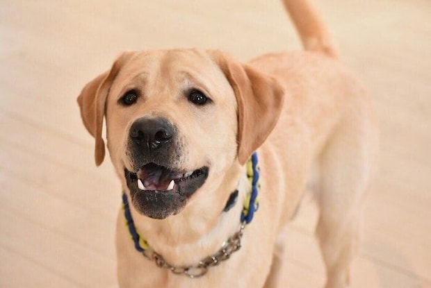 2才になったノアくん