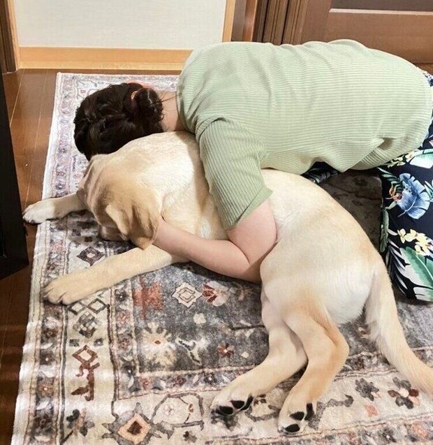 保護主さん宅で撮影したノアくんと飼い主さん