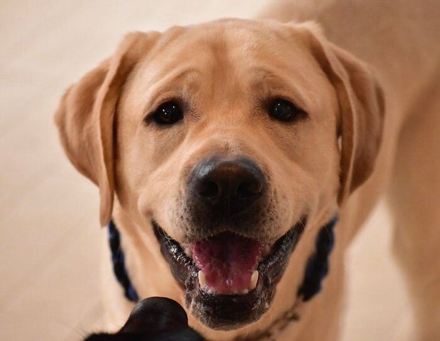 笑顔のノアくん