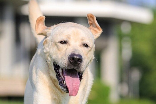 楽しそうなノアくん