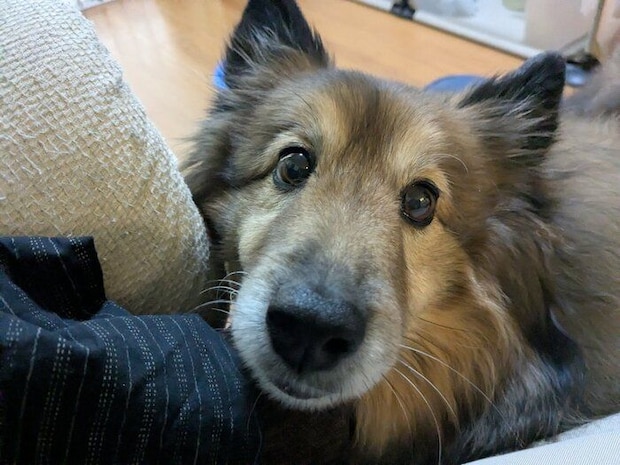 見つめるポン太郎くん