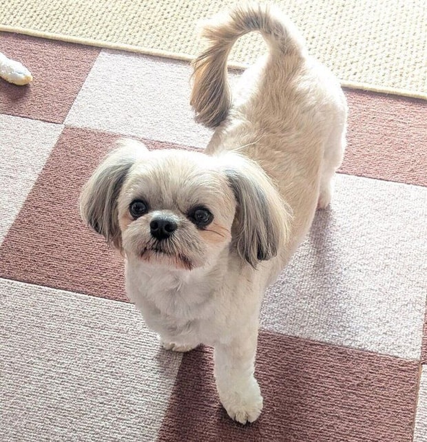 見つめる楽くん