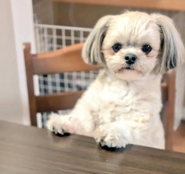 2才になった楽くん