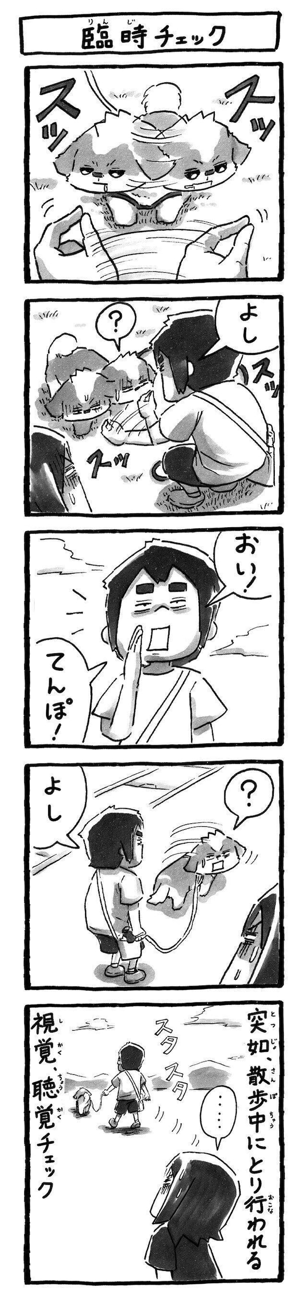 シーズー犬マンガてんぽshihtzu