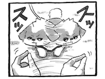 気づかぬうちに始まっている「愛犬健康チェック」|連載「シーズー犬のてんぽ」第296回