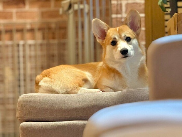 見つめる月ちゃん