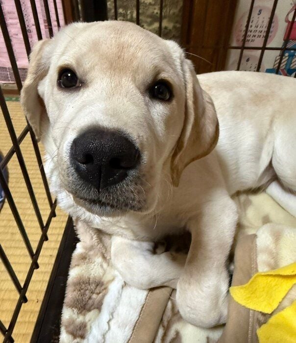 生後4カ月半ごろのレオくん