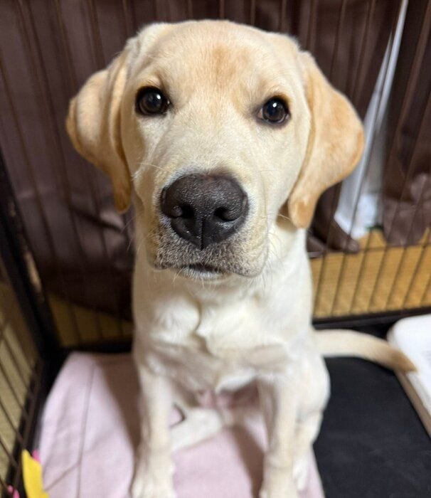 少しドジな一面もあるレオくん