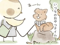 愛犬を守るつもりが、気づけば自分にツッコミ｜連載「こぐま犬てんすけ」vol.308