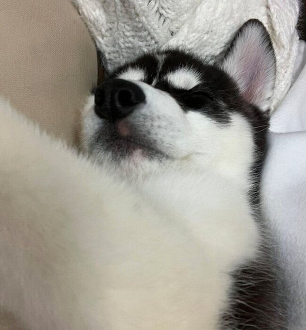 生後2カ月のころの銀慈くん