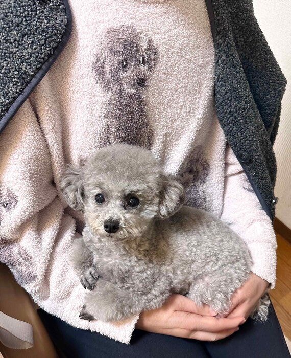 飼い主さんが「幽〜体〜離脱〜」として投稿した写真